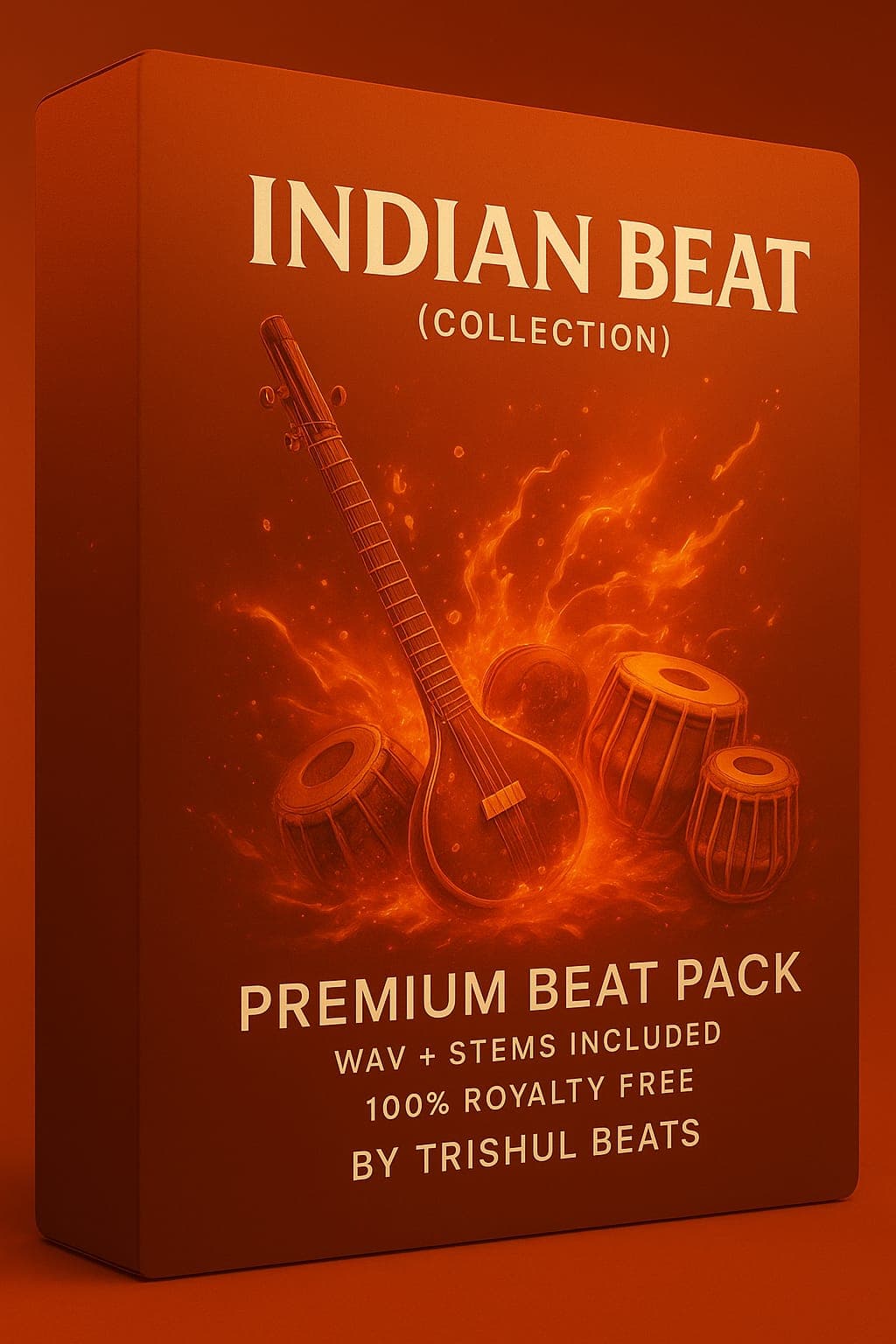 indian type beat — image 1